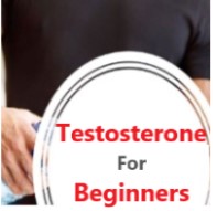 Best testosterone boosters for beginners guide